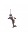 Pendentif dauphin en argent